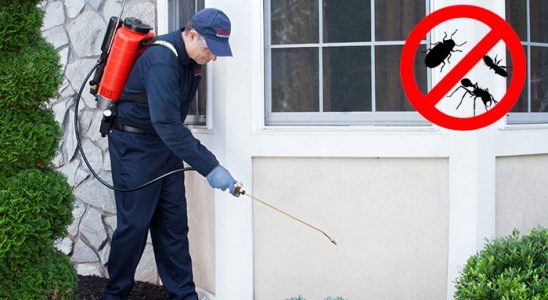 Kızılırmak Hamam Böceği İlaçlama böcek ilaçlama ve haşere kontrolü — ilaclama-tr.com